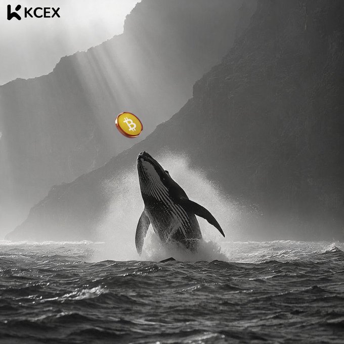 A dramatic black-and-white image shows a whale breaching the ocean with its mouth open, about to catch a falling golden Bitcoin coin, branded with the KCEX logo.