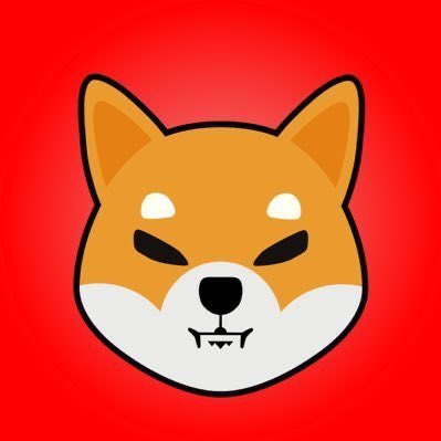 The image shows a large, brown and white fox-like animal face or head set against a red background. The fox's eyes are wide open with a serious expression, giving it a fierce appearance. A text overlay on this image reads: "The crypto market is feeling the heat today. $SHIB has seen massive exchange inflows of 64 billion tokens leading to technical weakness on the charts as it struggles to hold support". This statement appears to be related to the trading activity in the cryptocurrency market, which could be causing a bull or bear market sentiment. The fox's intense gaze and dramatic expression may also be interpreted as a metaphor for the current state of affairs in the crypto world.