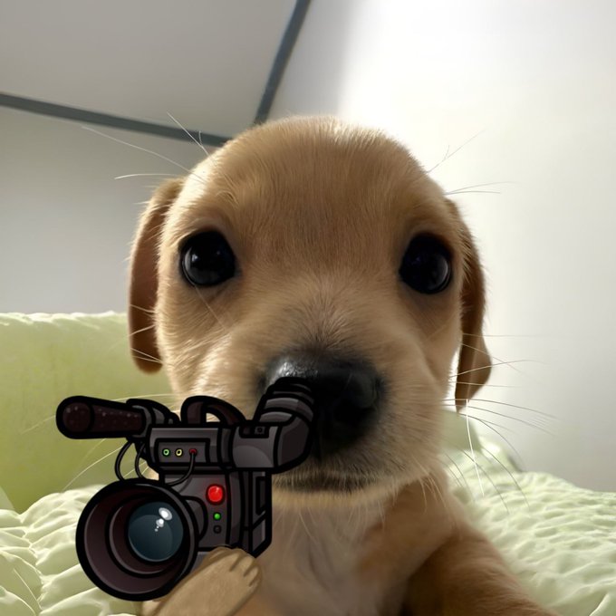A cute golden-colored puppy holds a cartoon video camera in its mouth, playfully "filming" the viewer. The image pairs with the post "$billy call," suggesting a fun, on-the-spot request—perhaps Billy is being summoned to "capture the moment" on camera.