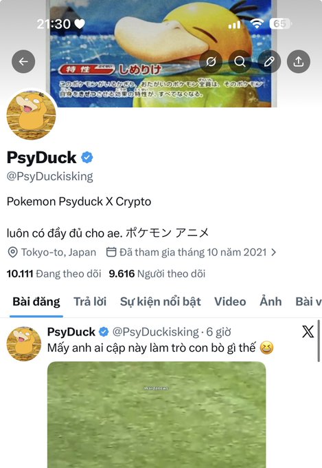 Twitter/X profile for verified account @PsyDuckisking with the bio 'Pokemon Psyduck X Crypto' based in Tokyo-to, Japan, joined October 2021, with 10,111 posts and 9,616 followers.
