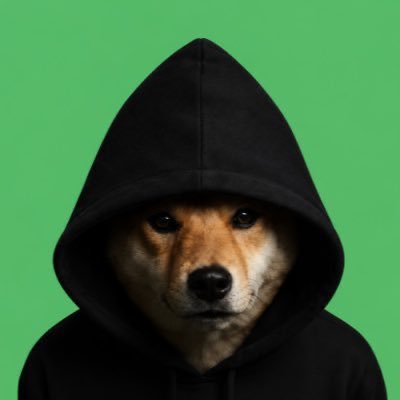 A Shiba Inu dog wearing a black hoodie against a green screen background, visually representing the $DIH ("Dog In Hood") project pitched as a potential PFP (profile picture) cult on Robinhood, with the hooded dog embodying the "One hood, one dog" branding concept.