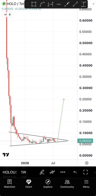 This image shows a bullish chart prediction for HOLO, indicating a potential price increase of 100-300%. The chart displays a falling wedge pattern for HOLOUS on a 1W timeframe, with a projected upward trend starting at $0.06505.