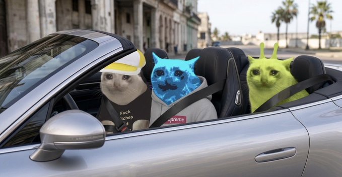 Three humorous cat characters riding in a silver convertible car on a coastal road, with the cats edited to wear streetwear including Supreme and other branded hoodies.