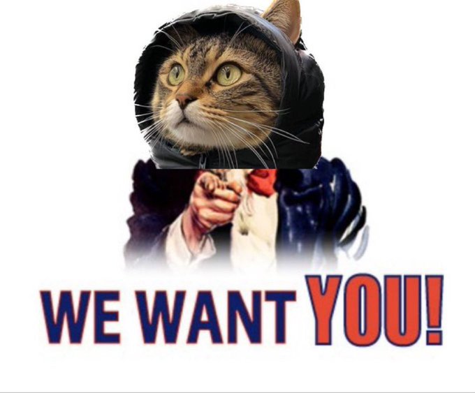 The classic Uncle Sam recruitment poster edited to feature a tabby cat wearing the iconic hat, with the text "WE WANT YOU!"