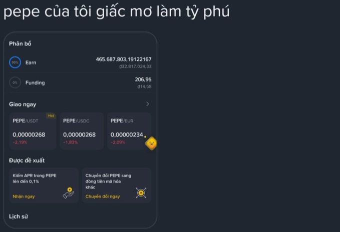 A Vietnamese-language cryptocurrency wallet interface titled "pepe của tôi giấc mơ làm tỷ phú" (my pepe, the dream of becoming a billionaire) showing Earn balance of approximately $465 billion, Funding of $206.95, and PEPE token prices across USDT, USDC, and EUR markets, all in the red with around -1.8% to -2% declines.
