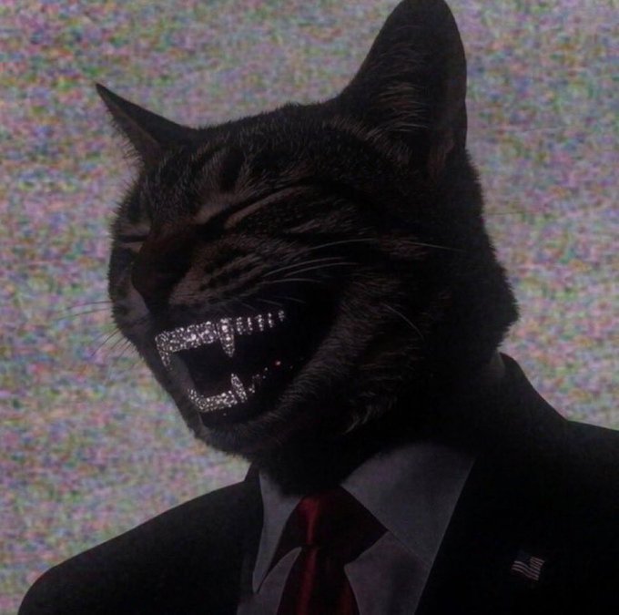 This picture shows a cat dressed up like a businessman, with his top teeth covered in diamonds. The image appears to represent the meme "Because it's a cat" involving cat videos being shown to people and having them explain why a person would even make or watch such videos. The image complements the caption $CATE MAXXING by incorporating humor and the comparison to cryptocurrency investments that are marketed by people who don't even really understand them.
