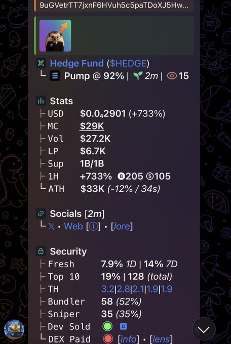 A screenshot of a crypto analysis tool displaying statistics for the token 'Hedge Fund ($HEDGE)'. Key metrics include a price of $0.0...2901 (+733%), market cap of $29K, and security details like Top 10 holding 19% and 35% snipers.