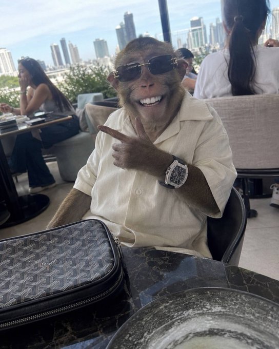 A photo of a monkey wearing sunglasses, a beige shirt, and a luxury watch, posing at what looks like an upscale rooftop restaurant with a city skyline in the background.