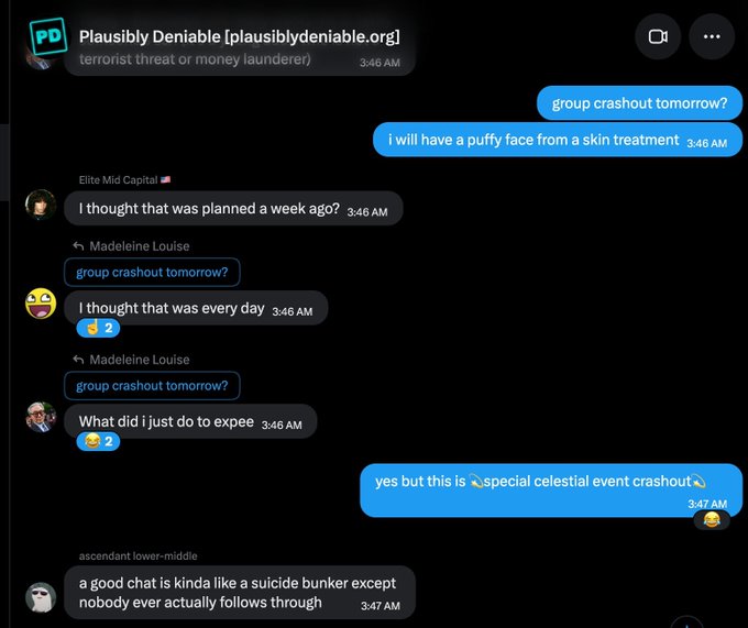 A screenshot of a Discord group chat titled 'Plausibly Deniable [plausiblydeniable.org]' where users discuss planning a 'group crashout tomorrow' at around 3:46 AM, with humorous exchanges about a 'special celestial event crashout'.