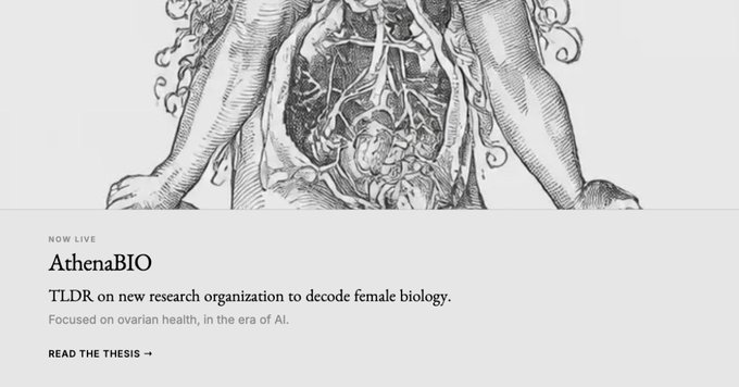 A vintage anatomical illustration of a female torso showing internal organs, above text reading 'NOW LIVE', 'AthenaBIO', 'TLDR on new research organization to decode female biology.', 'Focused on ovarian health, in the era of AI.', and 'READ THE THESIS ->'.