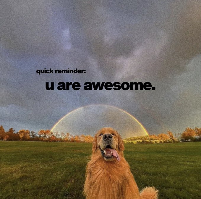 A golden retriever sits on grass with a rainbow arcing behind it under a cloudy sky. Black text reads 'quick reminder: u are awesome.'