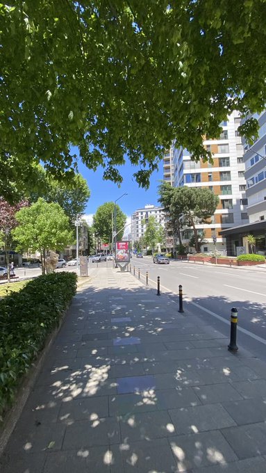 A sunny city sidewalk lined with green trees and shrubs, with apartment buildings and cars visible along the street.