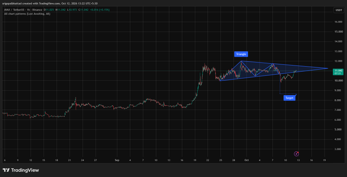 A TradingView chart of ANKR/USDT showing price action with a symmetrical triangle pattern labeled 'Symmetric' and a 'Target' zone marked near $10.041.
