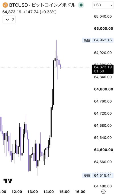 BTCUSD chart on TradingView showing Bitcoin trading at $64,873.19 (+0.23%), with a daily high of $64,962.16 and low of $64,515.44.