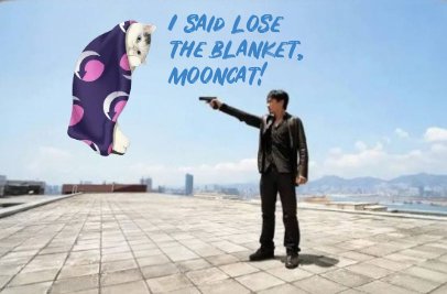A man in a black leather jacket stands on a tiled outdoor rooftop, pointing accusingly at a floating purple blanket shaped like a white cat, with handwritten text reading 'I SAID LOSE THE BLANKET, MOONCAT!'.