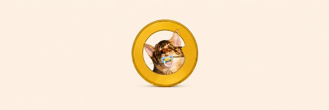 This image depicts a golden coin featuring a kitten wearing a pacifier, which relates to the "Baby Catecoin" mentioned in the accompanying post. The post also provides a contract address for the coin: "Ca: nK1AwGnQqSd5pX2qBuAfLb5aKjCe8E2HXoiJ5hDpump".