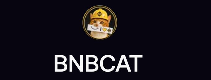 A logo featuring a cat wearing a crown with the text 'BNBCAT' displayed in white on a dark blue background.