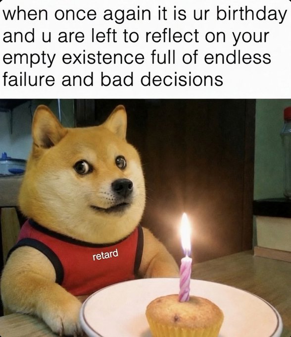 Birthday meme with text 'when once again it is ur birthday and u are left to reflect on your empty existence full of endless failure and bad decisions' showing a sad-looking Shiba Inu dog wearing a 'retard' shirt next to a cupcake with a candle.