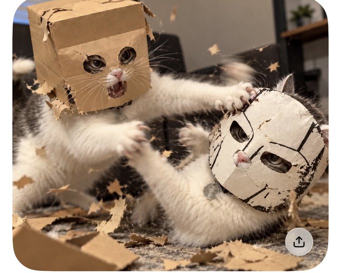 Two cats play on a rug, one wearing a chewed cardboard box on its head and another wearing a cardboard cutout mask that resembles a wrestling mask.