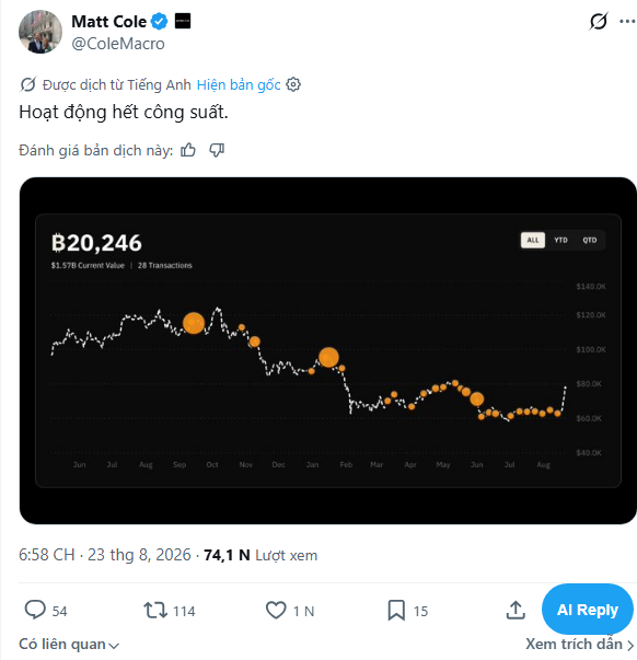 Tweet from Matt Cole (@ColeMacro) showing a Bitcoin price chart with B20,246 current value and $1.57B, with caption 'Hoạt động hết công suất' (Operating at full capacity), posted on August 23, 2026.