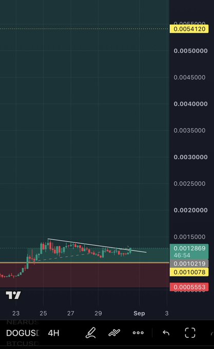 A DOGUSDT 4H chart on TradingView shows a descending triangle pattern forming near the $0.00101219 level with price trading at $0.0010078, highlighting the bearish consolidation that likely frustrated the poster watching their $DOG position.