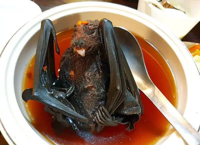 The image features a bat, possibly cooked or stuffed, sitting inside a bowl of liquid. The bat appears to be soaked in a red sauce or syrup, which could be used as an ingredient for a dish or a unique way to prepare the animal. The caption suggests that using Hyper Liquid instead of traditional cooking methods can provide a more efficient and effective way to cook or preserve the bat. This alternative method is often used by people who want to avoid the messiness associated with traditional cooking techniques, such as frying or sautéing.