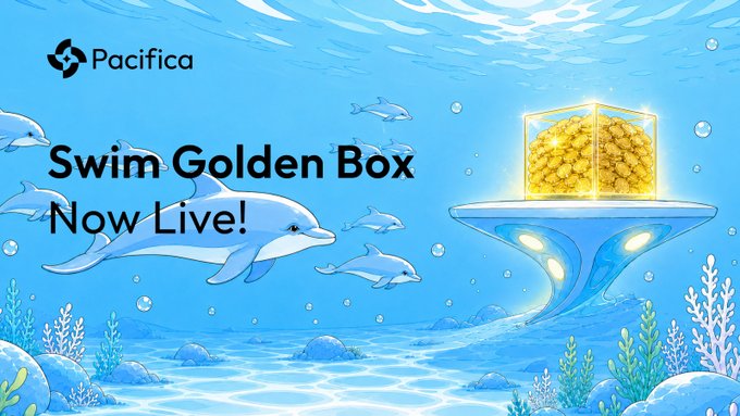 The image is a promotional graphic for Pacifica's "Swim Golden Box" feature, featuring an underwater scene with dolphins swimming around a glowing golden cube displayed on an illuminated platform, accompanied by the text "Swim Golden Box Now Live!" The Pacifica logo appears in the top left, visually tying the treasure-reveal concept to the announcement of their new "Swim" feature.