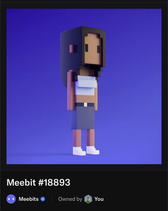 A user proudly showcases their newly acquired Meebit NFT #18893, a 3D voxel-style character with long dark hair, a white crop top, and dark shorts set against a purple background, which they've purchased in advance of the Nightshade mint. The caption humorously plays on the NFT's name, asking "Do Meebits follow Meebits?!" as they announce ownership of the MeebitsNFT collectible.