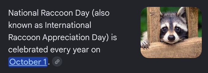 A fact card states "National Raccoon Day (also known as International Raccoon Appreciation Day) is celebrated every year on October 1," accompanied by a photo of a raccoon peeking through wooden slats. The reference to "$Jimothy" appears to be a stock ticker, with the October 1 raccoon celebration coinciding with that company's branding or relevant date.
