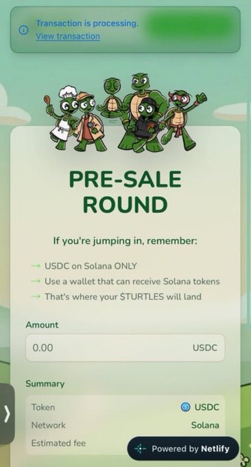 A mobile screen shows a $TURTLE presale transaction processing on Solana via Netlify, with a "0.00 USDC" amount entered and a banner of cartoon turtles (a chef, two ninjas, and a samurai) above the "PRE-SALE ROUND" header, illustrating the user's participation in the CryptoTurtles presale.