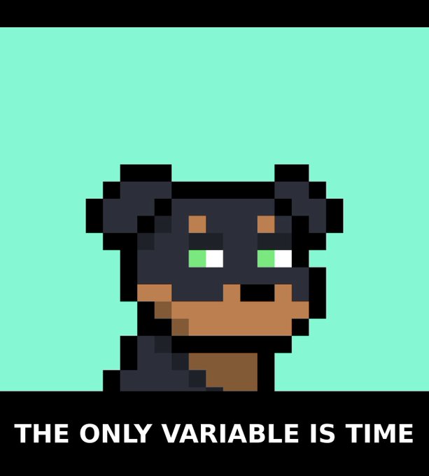 A pixel art image of a baby Big Black Cat (Black Panther) from the BlackCat ransomware group, with the text "THE ONLY VARIABLE IS TIME" displayed below. The caption references the group's motto, suggesting inevitability and inevitability of their malicious activities.