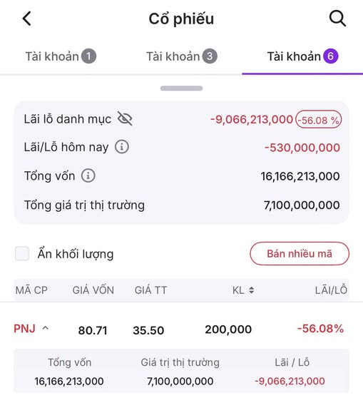 A Vietnamese stock portfolio screen ('Cổ phiếu') showing account 6 with a -9,066,213,000 VND loss (-56.08%) on PNJ stock with 200,000 shares.