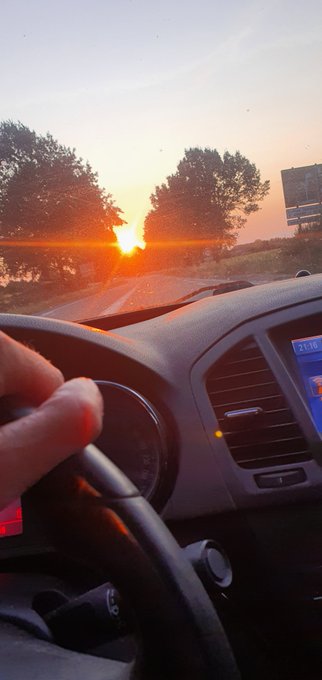 A view from inside a car driving toward a sunset on a tree-lined road, with the driver's hand on the steering wheel visible in the foreground.