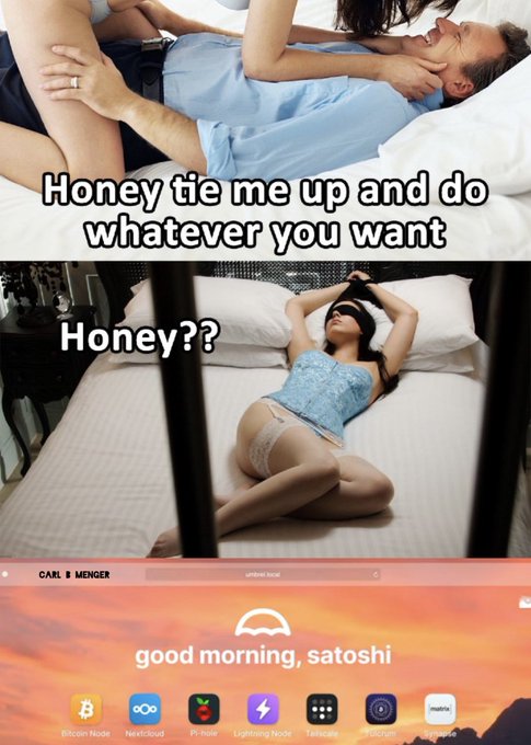This meme depicts a man asking his partner to "tie me up and do whatever you want," only to find her alone and blindfolded, followed by a screenshot of a computer desktop featuring the text "good morning, satoshi." The joke implies that the user is more interested in "tying up" or managing their Bitcoin nodes and technical setups than engaging in physical intimacy.