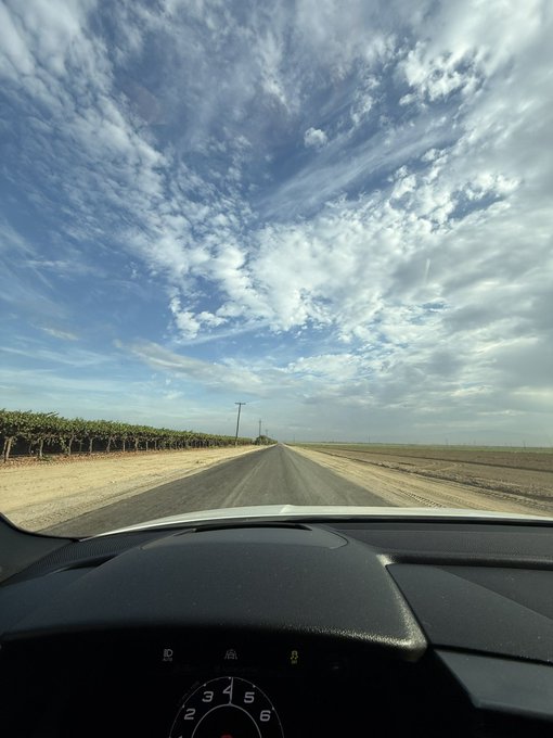 A view from inside a car looking down a long, straight country road flanked by vineyards, with a dramatic blue sky filled with wispy clouds overhead.