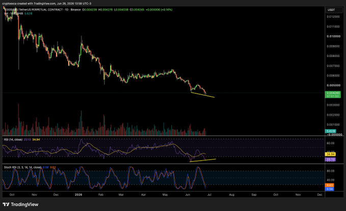 A TradingView chart of the SHIB/USDT perpetual contract on Binance shows a significant downtrend over the past year, with yellow trendlines drawn on the price, RSI, and Stochastic RSI indicators to highlight the positive divergence mentioned in the post. The annotation supports the claim of bullish divergence on daily charts for meme tokens like SHIB, DOGE, and BONK.