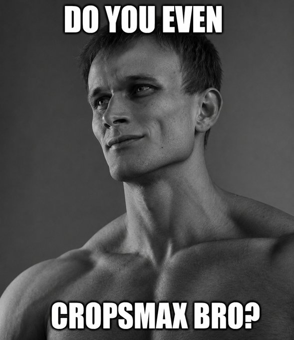 The image features a muscular man with a shaved head wearing a shirtless torso. The caption of the image reads "Vitalik has jawline and cheekbones that looksmaxxers like Clavicular had to religiously smash their faces with a hammer to get even close to, yet you'r bearish?" which is related to the CropsMaxx bro question.
