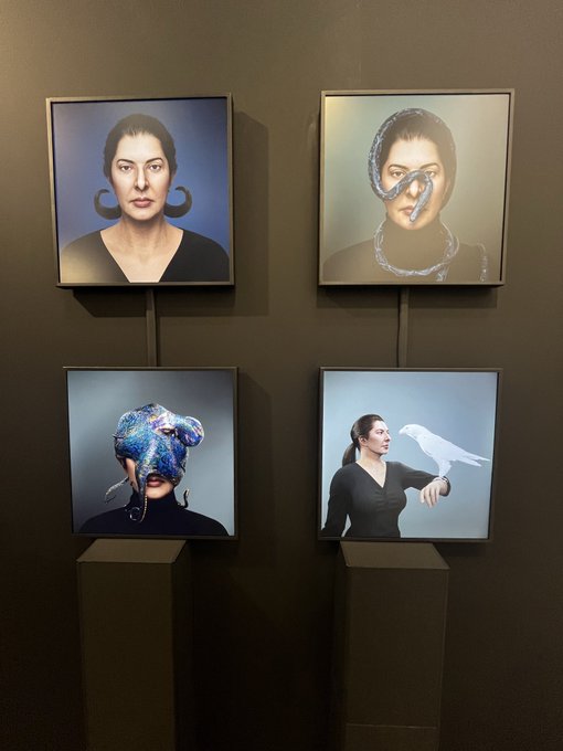 An art installation displaying four framed portraits on a dark wall, each featuring surreal elements like distorted faces, a rabbit head, and a white bird on an arm.