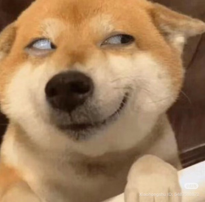 A Shiba Inu dog with a smug side-eye expression and slight smirk is shown in a close-up portrait, humorously conveying skepticism or side-eye toward the post's question about PulseChain reaching "$1." A watermark reads "Xiaohongshu ID: 5487518872." The dog's smug facial expression perfectly matches the playful doubt expressed in the post.