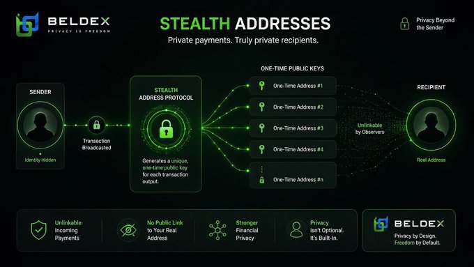 An infographic titled 'BELDEX STEALTH ADDRESSES' explains private cryptocurrency payments, showing how the Stealth Address Protocol generates one-time public keys to keep the sender's and recipient's identities unlinkable.