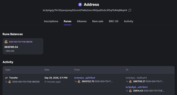 A dark-themed cryptocurrency wallet interface shows an address "bc1p4grjy..." with a Rune balance of "DOG•GO•TO•THE•MOON" at 9935165.54 and recent transfer activity.