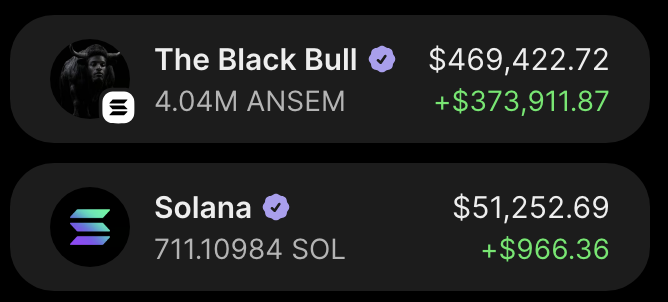 A crypto portfolio tracker displays two verified holdings: "The Black Bull" wallet holding 4.04M ANSEM valued at $469,422.72 (+$373,911.87), and a Solana wallet holding 711.10984 SOL valued at $51,252.69 (+$966.36). The image illustrates the post's claim of "+$375,000 in 24 hours," with the bulk of gains coming from The Black Bull's ANSEM holdings while the Solana position offers a more modest daily increase.