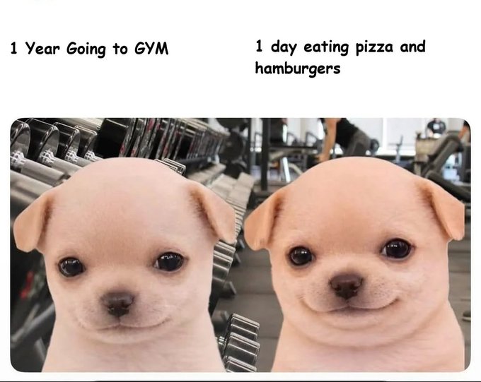 The image shows two small dogs, both with big smiles on their faces, sitting next to each other in a gym setting. One dog is positioned closer to the left side of the image while the other one is more towards the right side. The background features various exercise equipment such as dumbbells and weight machines, indicating that this scene takes place at a gym where people work out. The caption below the dogs reads "Year going to Gym: 1 day eating pizza and hamburgers".