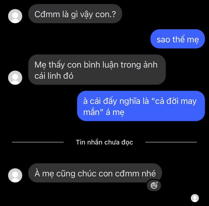 A Vietnamese text message conversation in which a parent scolds their child over a commented photo, the child explains the phrase means "cả đời may mắn" (lucky for life), and the parent responds with a curse wishing luck back.