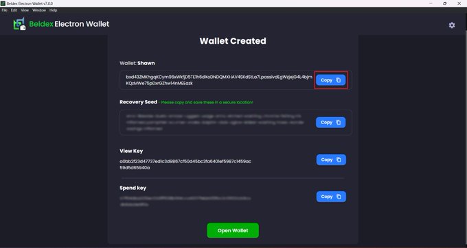 Screenshot of Beldex Electron Wallet v2.0.0 displaying a 'Wallet Created' screen with Wallet Shown, Recovery Seed, View Key, and Spend Key fields with Copy buttons.