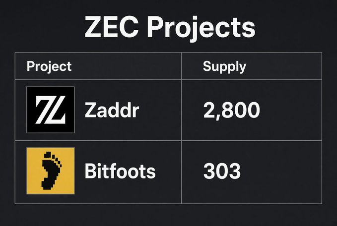 A table titled "ZEC Projects" lists two projects: "Zaddr" with a supply of 2,800 and "Bitfoots" with a supply of 303, each with their respective logos.