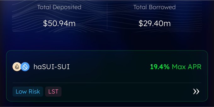 DeFi dashboard showing Total Deposited of $50.94m and Total Borrowed of $29.40m, featuring haSUI-SUI pool with 19.4% Max APR tagged as Low Risk LST.