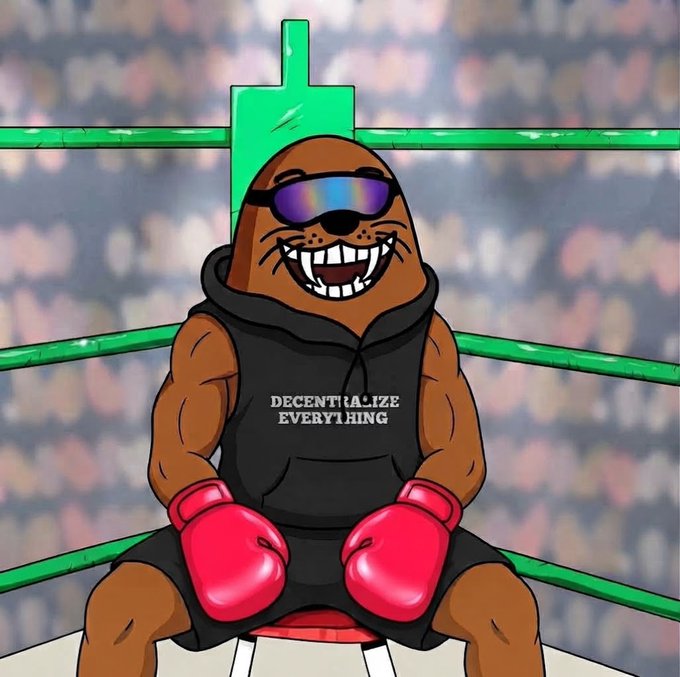 A cartoon illustration of a muscular walrus wearing sunglasses, a black hoodie reading "DECENTRALIZE EVERYTHING," and red boxing gloves, sitting in a wrestling ring corner.