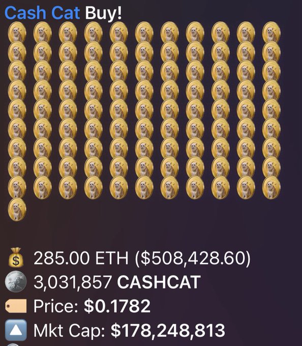 The image shows a cryptocurrency purchase display for "Cash Cat Buy!" featuring 131 Cash Cat emoji icons arranged in a grid, with details showing 285.00 ETH ($508,428.60) used to acquire 3,031,857 CASHCAT tokens at $0.1782 each, giving it a market cap of $178,248,813. The massive whale-sized buy displayed visually contradicts the post's concern about whales dumping on Solana, as this transaction demonstrates a major holder actually accumulating rather than exiting their position.