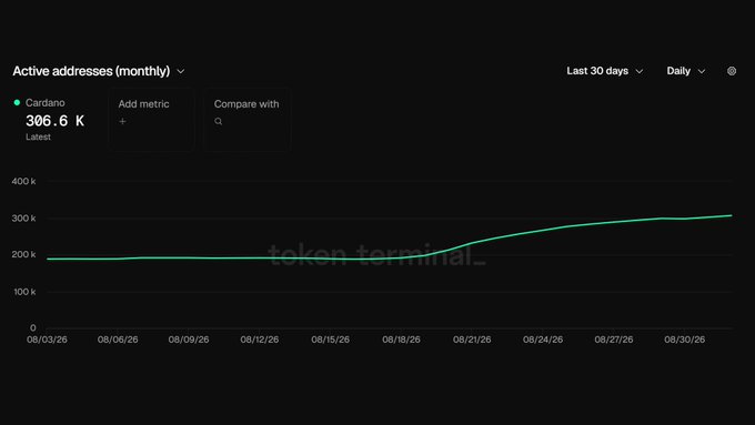 A Token Terminal dashboard displays Cardano's monthly active addresses at 306.6K, with the line chart showing a steady upward trend over the last 30 days (08/03/26 to 08/30/26) from approximately 200K to just over 300K, visually confirming the milestone noted in the post.